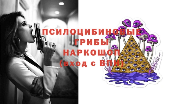 круглые Алзамай