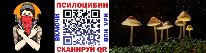 Псилоцибиновые грибы Psilocybine cubensis  где продают   Салават 